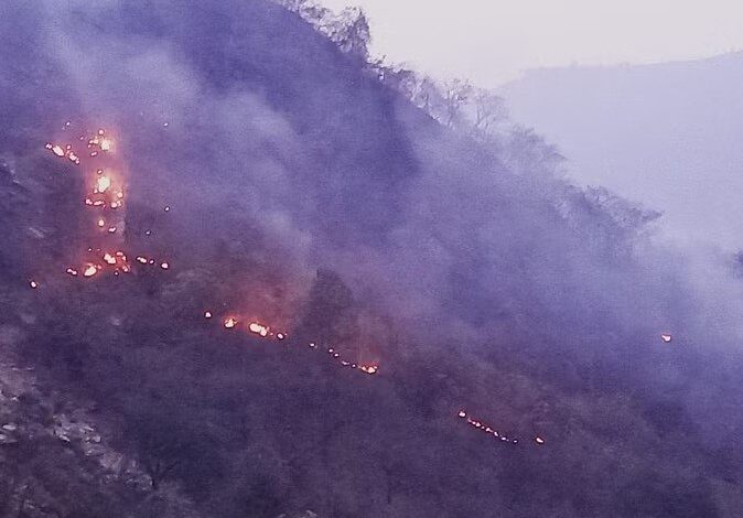 उत्तराखंड के जंगलों में लगी आग बुझने का नाम नहीं ले रही
