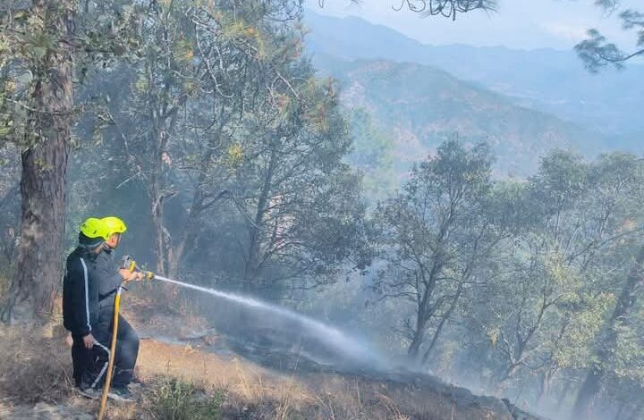 फायर फाइटर्स ने जंगल में लगी आग को बुझाया फायर फाइटर्स ने जंगल में लगी आग को बुझाया